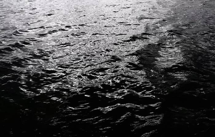 Richard Billingham's Ray | NOWNESS